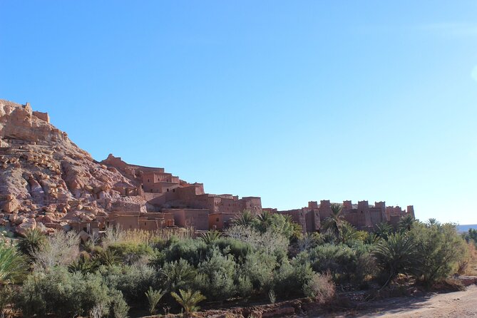 Morocco desert trek (8 days) - Price and Value: What Makes $1,156.92 Feel Fair