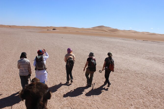 Morocco desert trek (8 days) - Marrakech Departure: High Atlas Pass Driving and Telouet