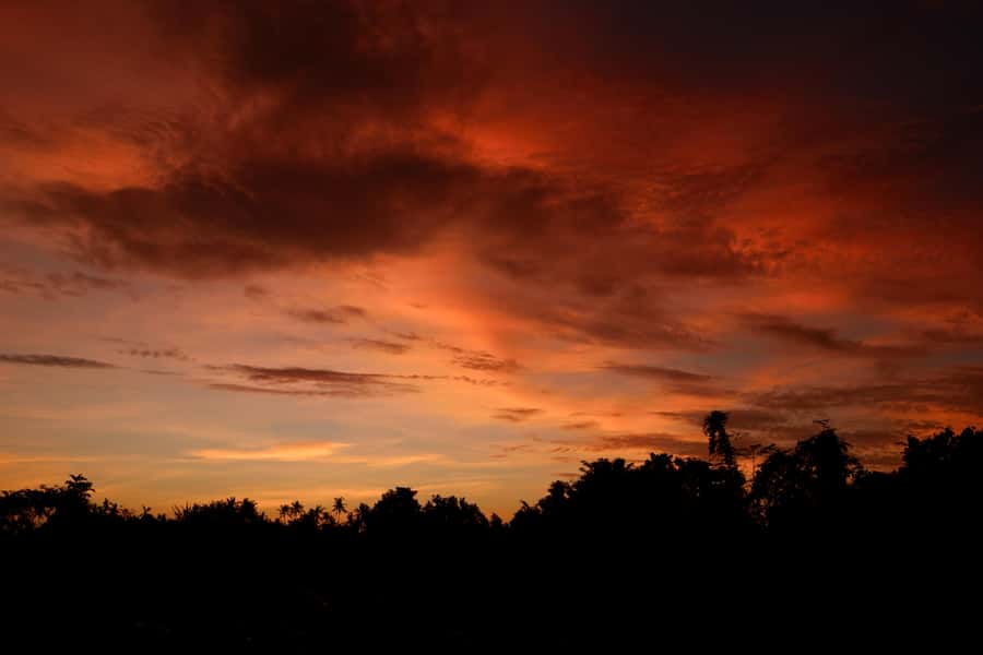 Mount Batur Sunrise Trek & Hot Springs Tour - Getting ready for the 1:30–2:30AM pickup rhythm
