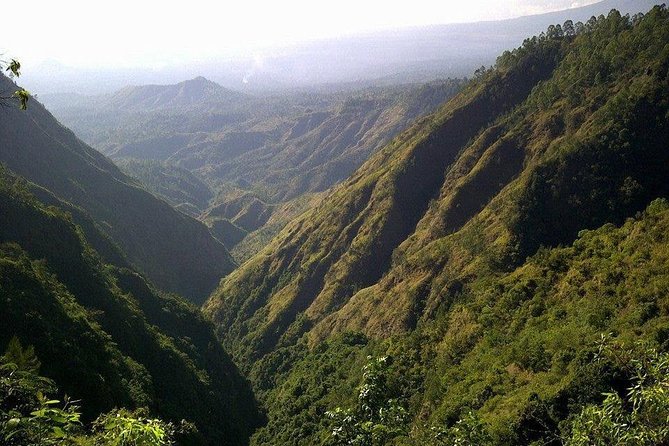Mount Batur Sunrise Trekking and Rice Terrace Adventure - Tegalalang Rice Terrace Stop: Coffee, Views, and a Soft Landing After the Volcano