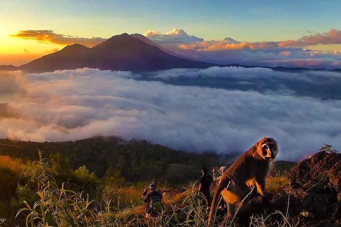 Mount Batur Sunrise Trekking With Breakfas - Price and what’s included for $59.94 a person