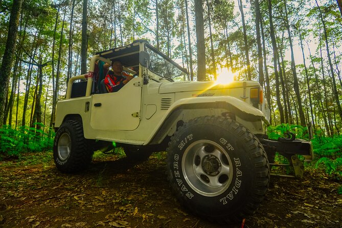Mount Batur Trekking by 4wd Jeep - Mt. Batur sunrise: the real reason you wake up before dawn