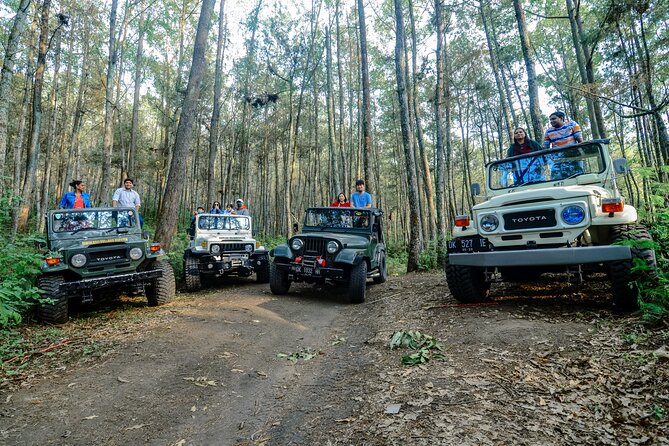 Mount Batur Trekking by 4wd Jeep - 4WD Jeep climb: fun rides, but also a time-saver