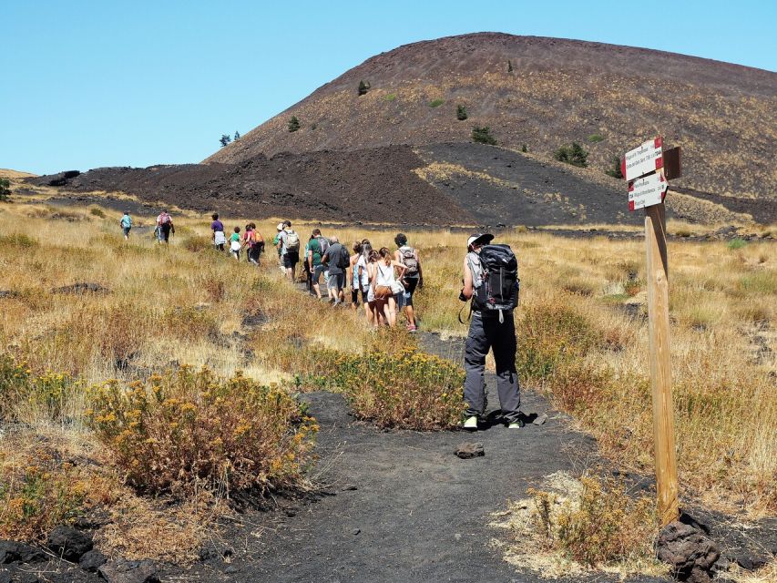 Mount Etna: Private Trek on the North Slope Craters - Beeches and black rock: the best kind of scenery shift