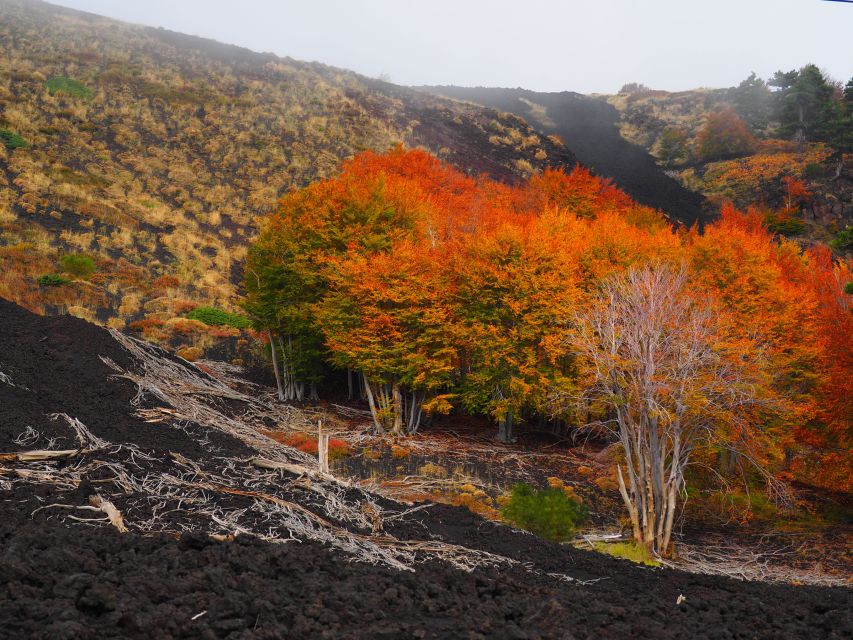 Mount Etna: Trek to the Craters of The 2002 Eruption - The viewpoints that make the effort feel worth it