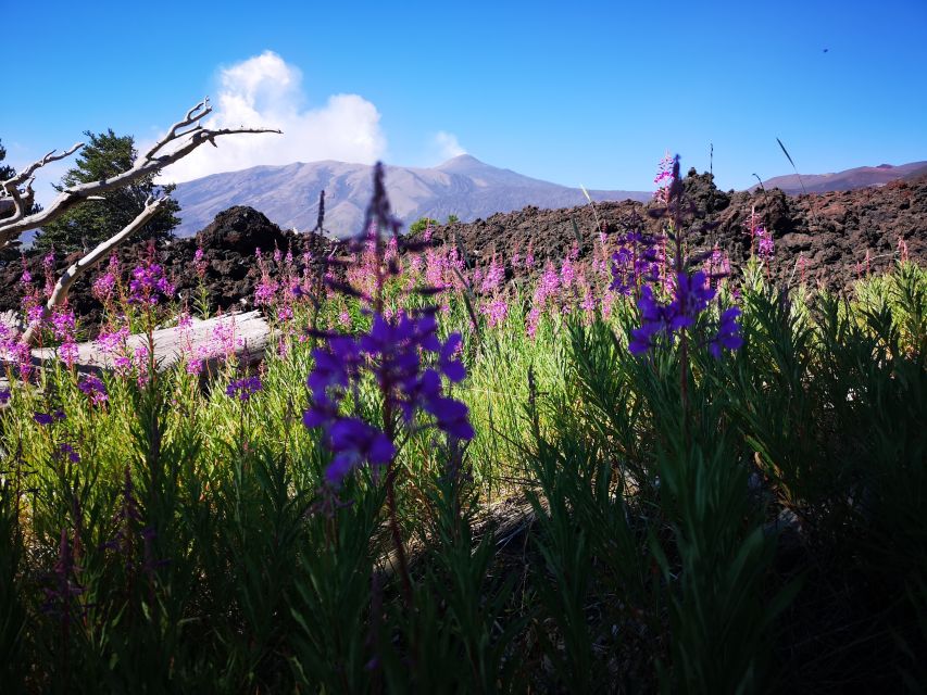Mount Etna: Trek to the Craters of The 2002 Eruption - Etna beyond geology: mythology, UNESCO, and farming soils