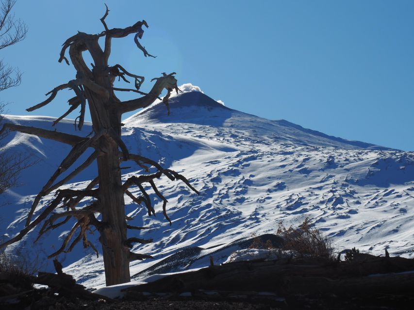 Mount Etna: Trek to the Craters of The 2002 Eruption - Piano Provenzana meeting point and what to wear