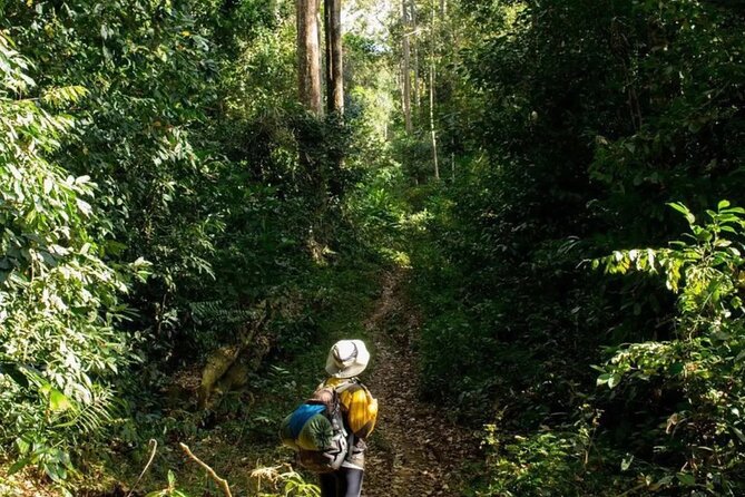 Mount Fansipan 2 Days Trek – Roof of Indochina - Mount Fansipan’s Hoang Lien Son climb: what you’re really hiking