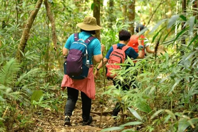 Mount Fansipan 2 Days Trek – Roof of Indochina - Day 2’s summit push: breakfast, last-stage effort, and the summit you came for