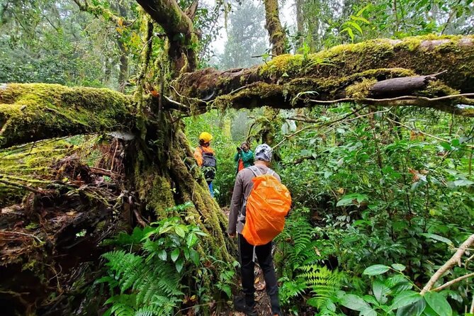 Mount Fansipan 2 Days Trek – Roof of Indochina - Porters, gloves, and group size: how the trek stays human
