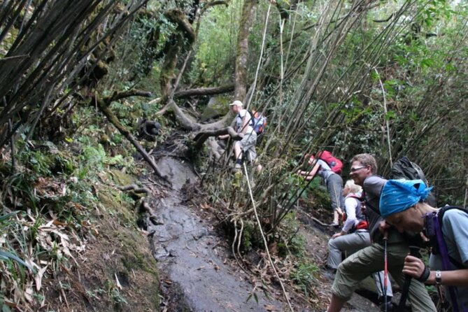Mount Fansipan 2 Days Trek – Roof of Indochina - Timing, transport, and meals: the part that makes or breaks a 2-day trek