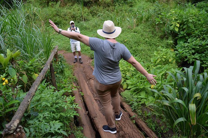 Mount Kilimanjaro day trip trekking - Coffee Farm Lesson: Growing, Harvesting, Processing, Roasting