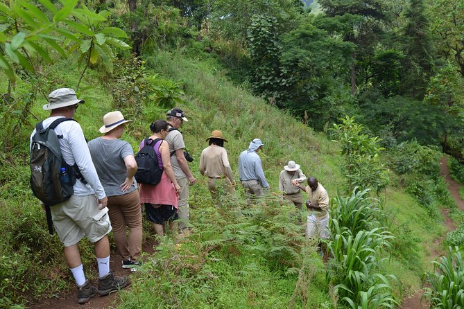 Mount Kilimanjaro day trip trekking - Lunch With Local Hot Food, Plus Water and Beer