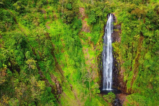 Mount Kilimanjaro day trip trekking - Price and Value for $90: What You’re Actually Paying For