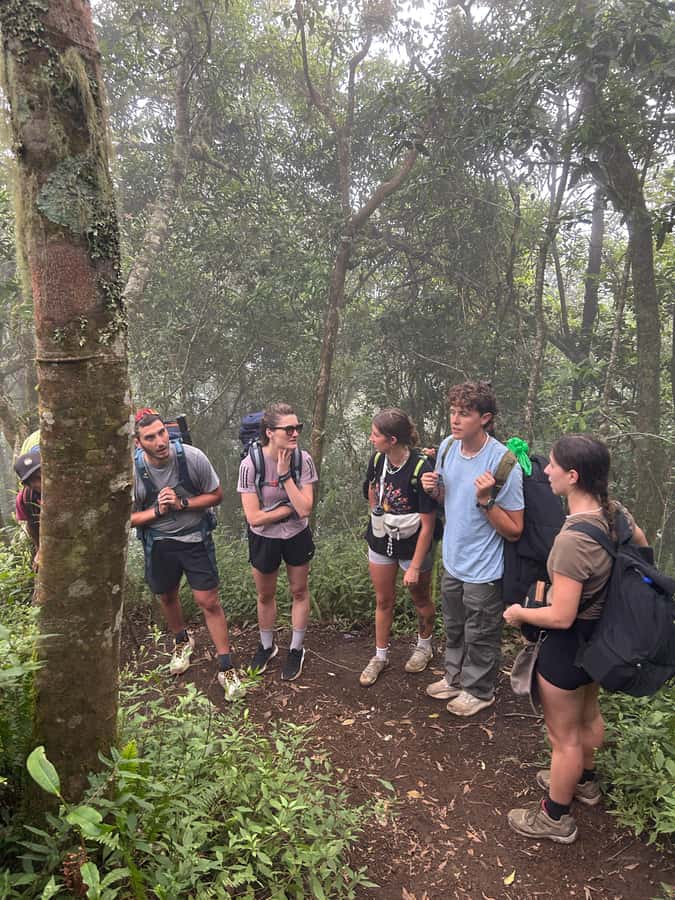 Mount Rinjani: 2D-1N Trekking Summit Sunrise Point Join Tour - What you should consider about difficulty (and who this suits)