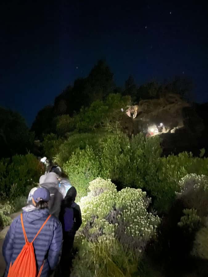 Mount Rinjani: 2D-1N Trekking Summit Sunrise Point Join Tour - The crater rim (2,639m) is the real Day 1 reward
