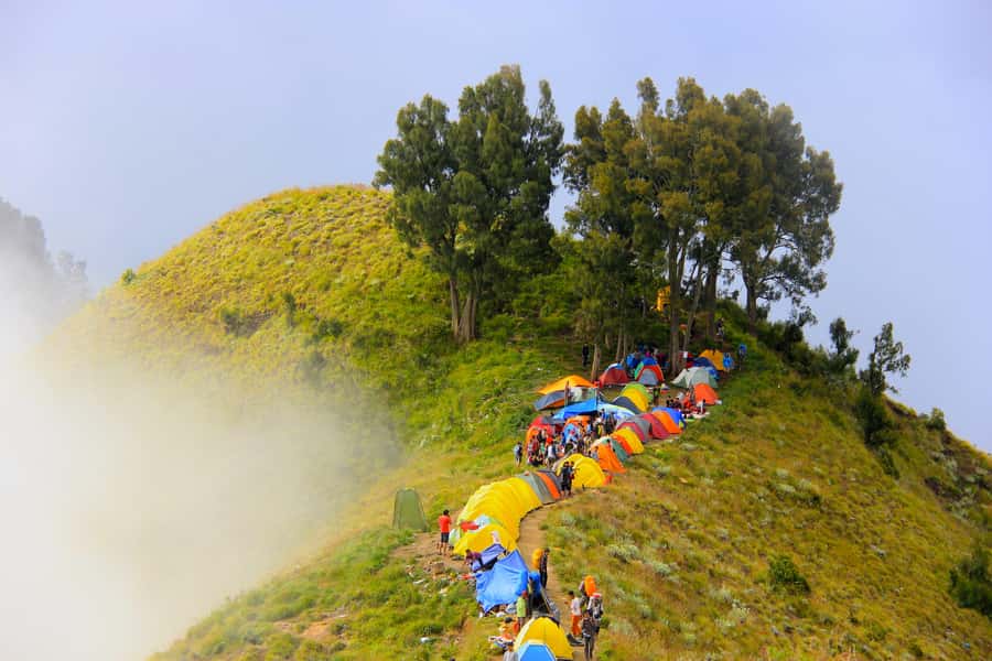Mount Rinjani: 2D/1N Trekking To Sembalun Or Senaru Views - Crater-rim evening at 2,639m: the part you’ll remember at night