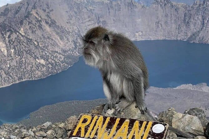 Mount Rinjani 2D 1N trekking to summit - Camp Night Comfort: Tents, Sleep Setup, and Toilet Reality
