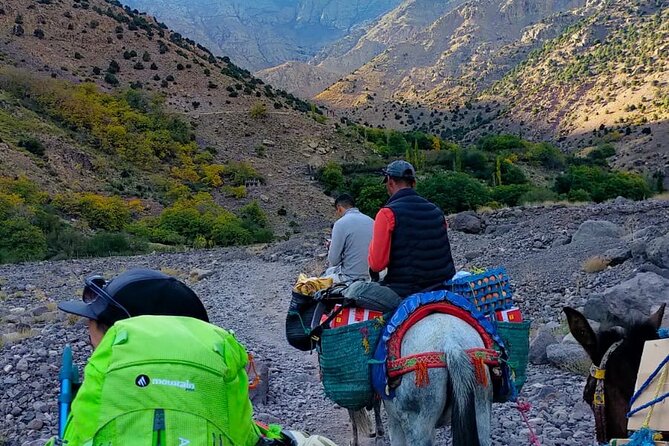 Mount Toubkal Trek: 2-Day Adventure - Day 1: trekking with mules, hot drinks, and meal support
