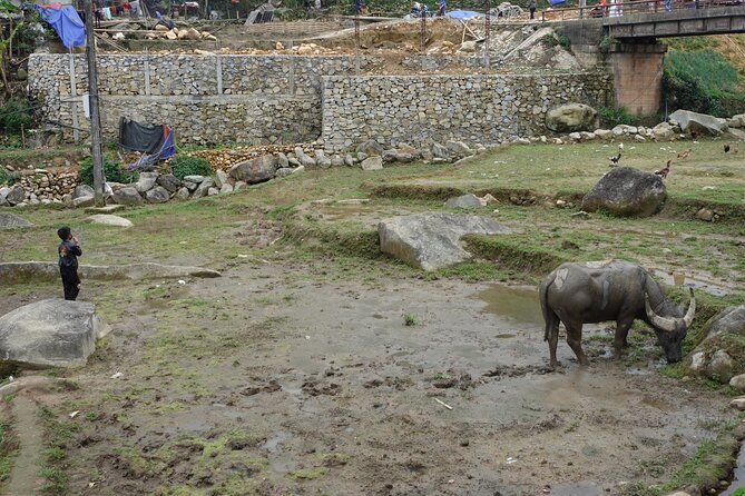Mountain views and villages trek – 1 Day - Ham Da Black Hmong village: marriage, farming, and homes