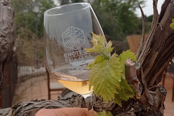 Mt. Etna trekking and Wine tasting - From Syracuse - Price and value: what you’re really paying for at $171.60