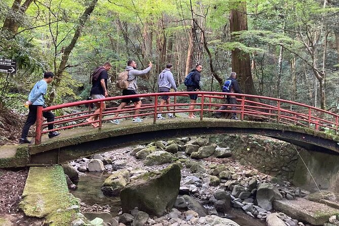 Mt. Inunaki Trekking and Goma Prayer Experience in Osaka - Quick highlights