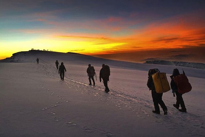 Mt Kilimanjaro 360° Trek with Once-in-a-Lifetime Crater Camping - Day 1 in Moshi: Mti Mkubwa Camp, rainforest trails, and muddy boot wisdom