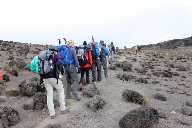 Mt Kilimanjaro 360° Trek with Once-in-a-Lifetime Crater Camping - Day 8: Uhuru Peak sunrise and crater camping beneath the glaciers