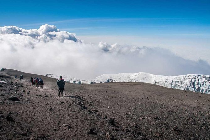 Mt Kilimanjaro 360° Trek with Once-in-a-Lifetime Crater Camping - Day 9 and 10: Ash Pit morning, Millennium Camp recovery, and Mweka rainforest descent