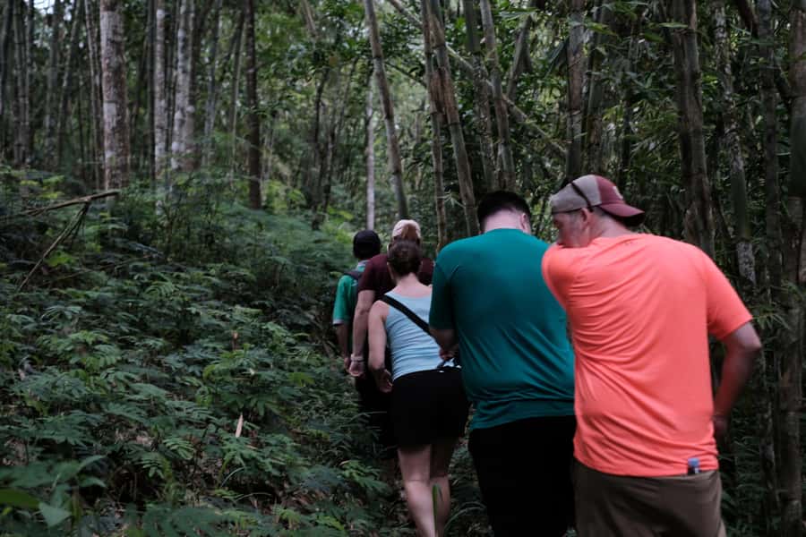 Mt. Merapi Majesty: Soft Trek and Botanic Village Tour - A Gentle Soft Trek Beneath Mt. Merapi (What Your Body Should Expect)