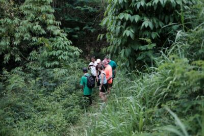 Mt. Merapi Majesty: Soft Trek and Botanic Village Tour - Village Time at the Mountain Base: Culture Without the Museum Vibe