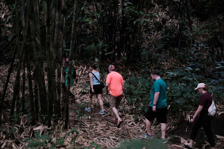 Mt. Merapi Majesty: Soft Trek and Botanic Village Tour - How the 6-Hour Schedule Feels Day-Real (and Why Timing Matters)