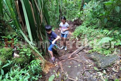 Mt Rinjani Trekking 2 Days 1 Night (Senaru Crater Rim) - Day 1 around Senaru: waterfalls first, because you need something to look at