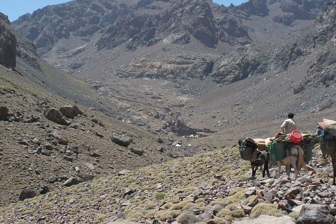 Mt Toubkal Ascent Express Trek 2 Days 1 Night - Who should choose this trek, and who should reconsider