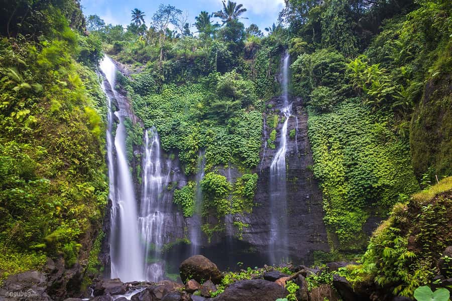 Munduk: Banyu Wana and Sekumpul Waterfall Trekking Tour - Key highlights you’ll feel right away