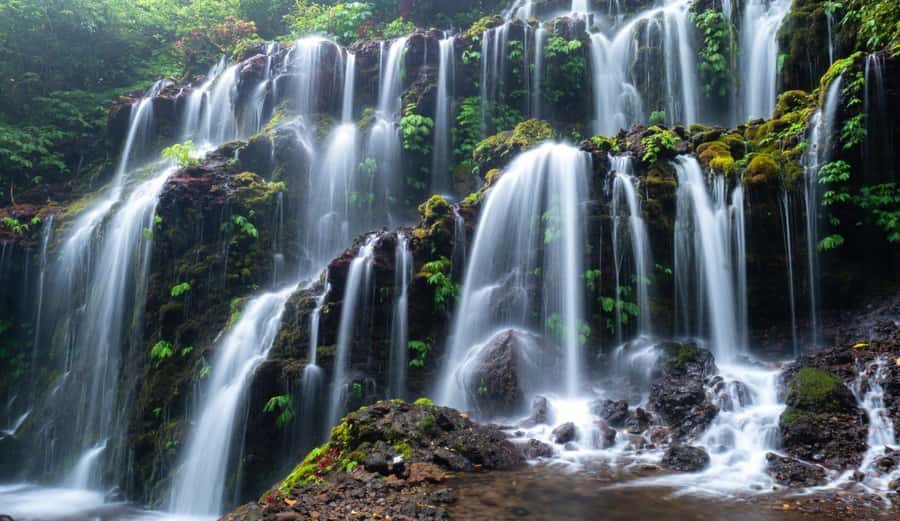 Munduk: Banyu Wana and Sekumpul Waterfall Trekking Tour - A Highland Day in Munduk That Actually Feels Remote