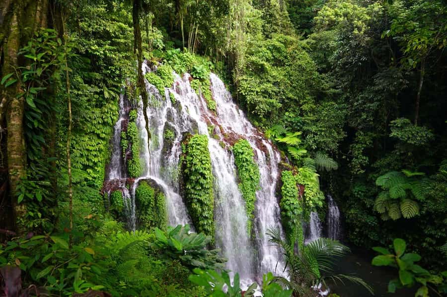 Munduk: Banyu Wana and Sekumpul Waterfall Trekking Tour - Rice terrace warm-up near Munduk: easy steps, great photos
