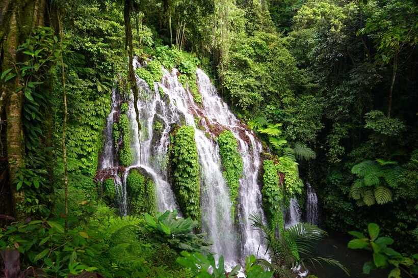Munduk: Banyu Wana and Sekumpul Waterfall Trekking Tour - Lunch in a local restaurant: keep it simple and local