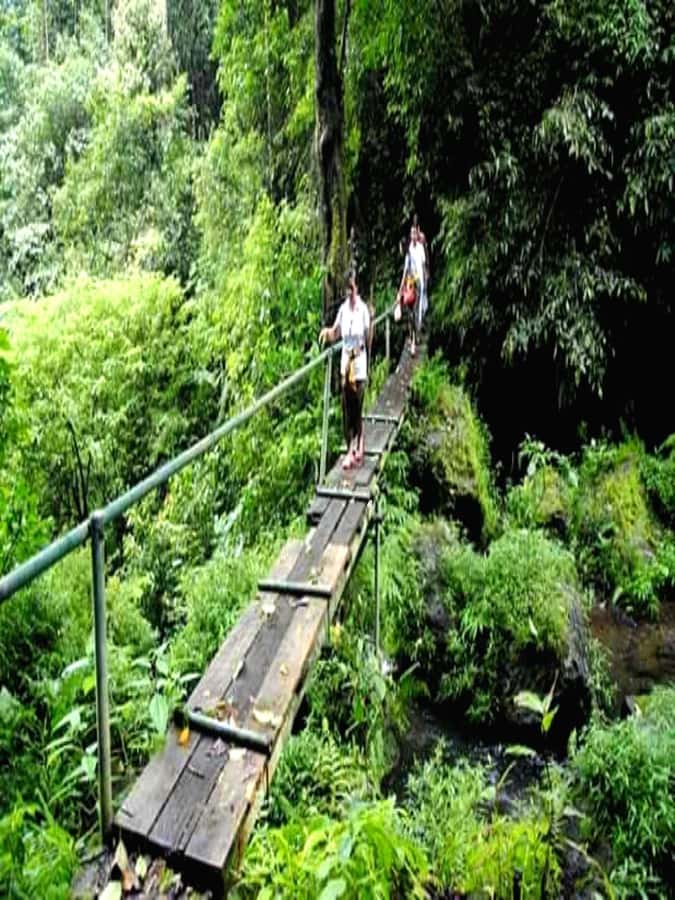 Munduk Jungle Trek to Banyumala & Pucak Manik – Private - Why Munduk Jungle Trek Beats the Usual Bali Waterfall Run