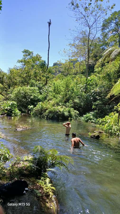 Munduk Jungle Trek to Banyumala & Pucak Manik – Private - The Private Guide Factor: Plants, Pace, and Better Photos