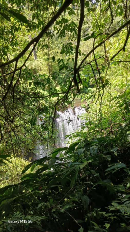 Munduk Jungle Trek to Banyumala & Pucak Manik – Private - Timing, Terrain, and What to Pack (So You Don’t Regret It)
