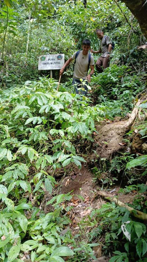 Munduk Jungle Trek to Banyumala & Pucak Manik – Private - Price and Value: What About $33 Covers
