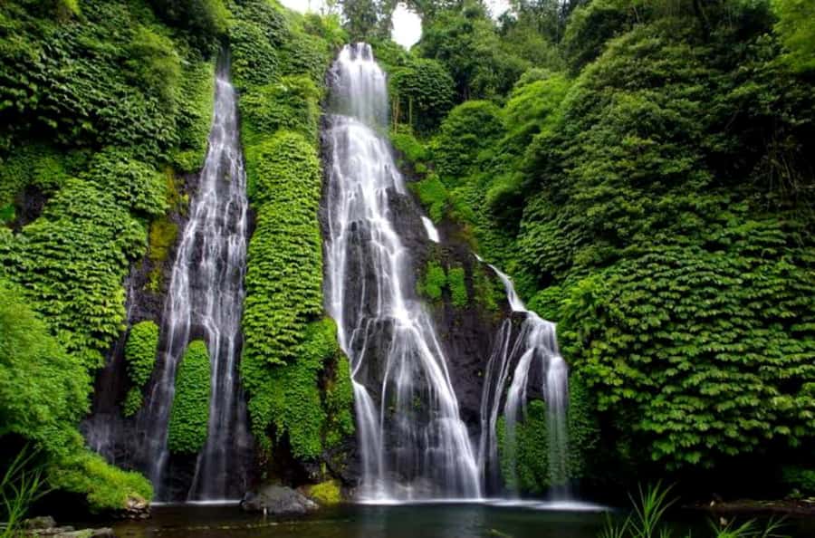 Munduk Jungle Trek to Banyumala & Pucak Manik – Private - Should You Book This Munduk Jungle Trek?