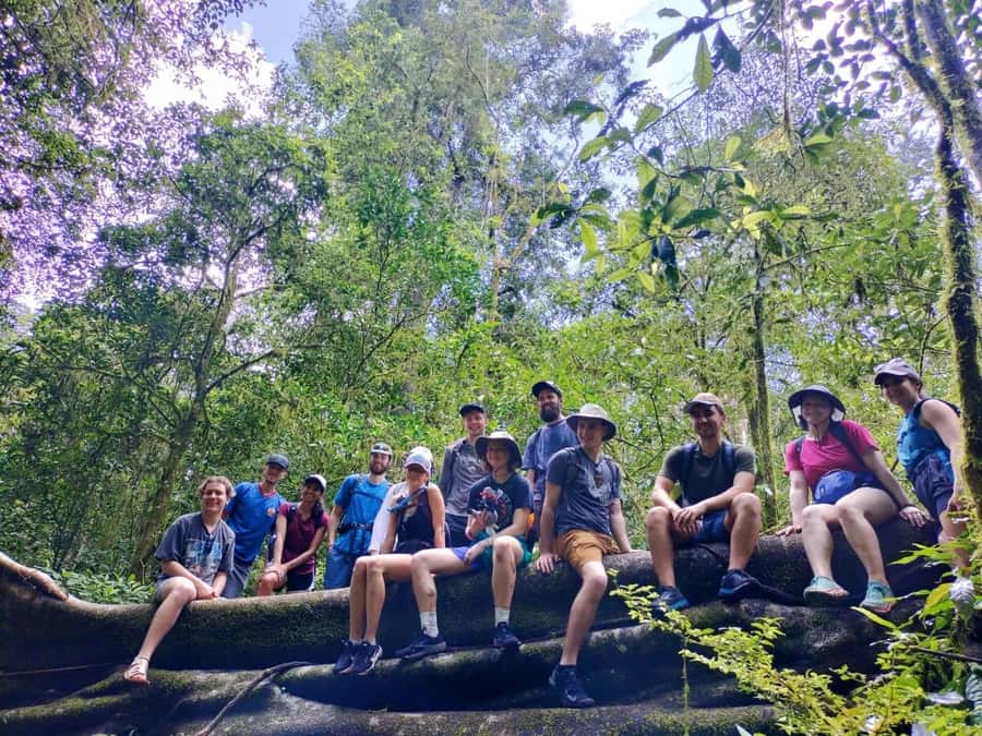 Munduk : Jungle Trekking,Canoeing,waterfall &authentic lunch - A 5-hour plan that avoids the rush