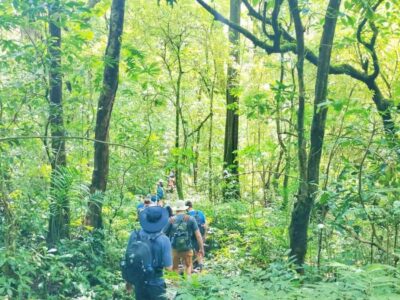 Munduk : Jungle Trekking,Canoeing,waterfall &authentic lunch - Jungle trekking in Munduk: what you’ll feel on the trail