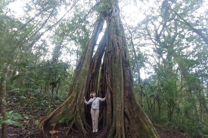 Munduk Twin Lake Jungle Trek with Sacred Forest Temples&Canoeing - Price and Value Check: Why $23.40 Feels Fair Here