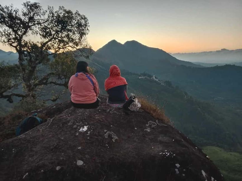 Munnar: Half day Guided Trek - Tea Country Through Time: Coffee, Cardamom, Cincona, Then Tea