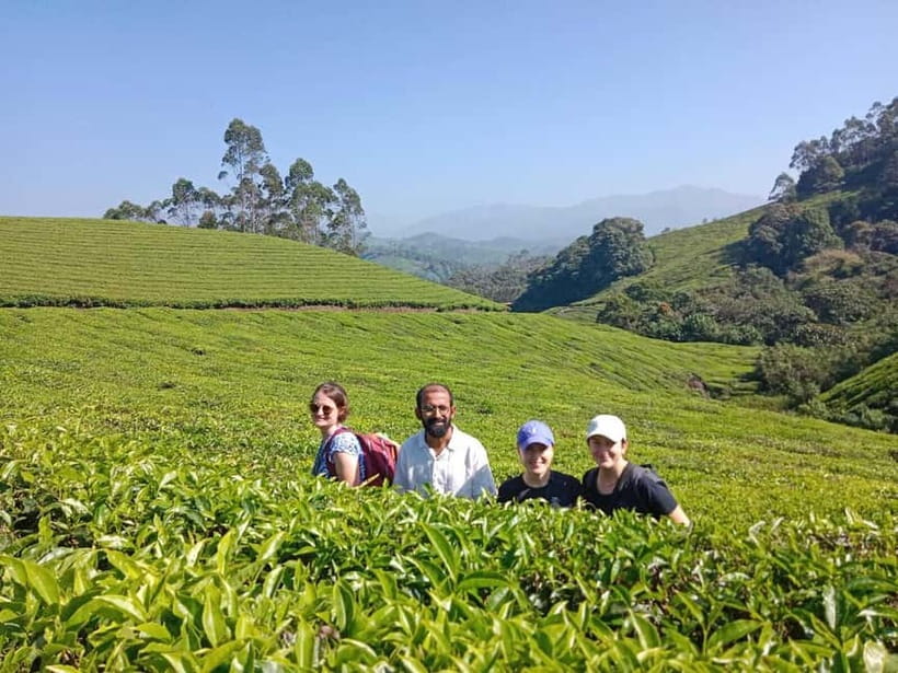 Munnar: Half day Guided Trek - Pothamedu vs Lekshmi Hill: Harder or Medium, Still Stunning