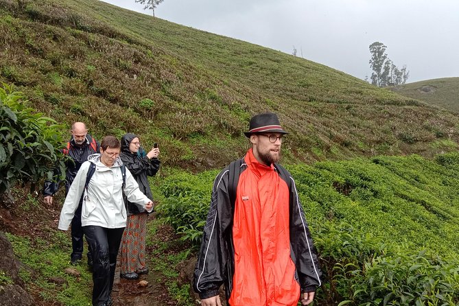 Munnar Letchmi hills Trekking - Munnar Letchmi Hills Trek: a short tea-country walk with real payoff