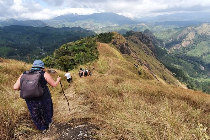 Munnar Mountain Trekking - Traditional tea-garden walking and the shades of green